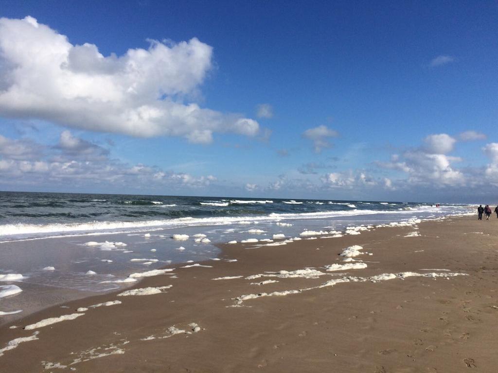Beachvibes Egmond aan Zee Extérieur photo